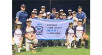 Smyrna Blue 2022 Little League Champions